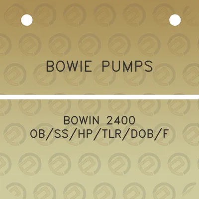 bowie-pumps-bowin-2400-obsshptlrdobf