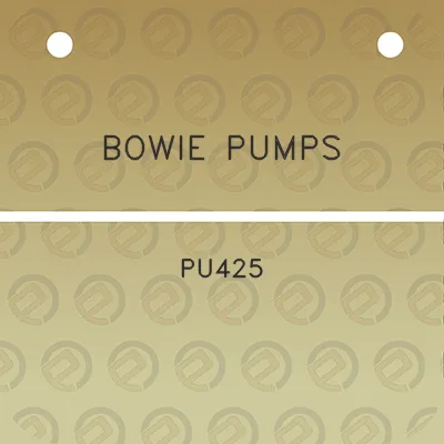 bowie-pumps-pu425