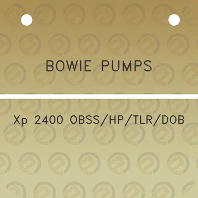 bowie-pumps-xp-2400-obsshptlrdob