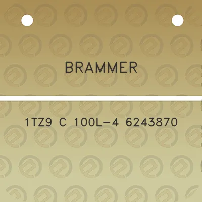 brammer-1tz9-c-100l-4-6243870