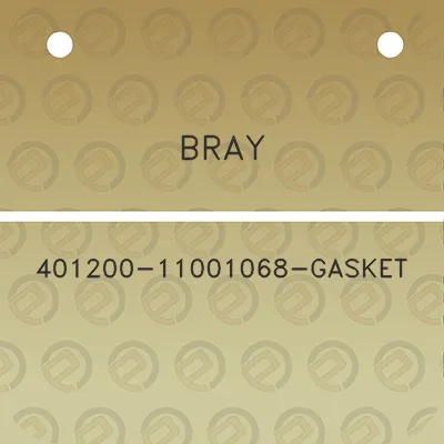 bray-401200-11001068-gasket