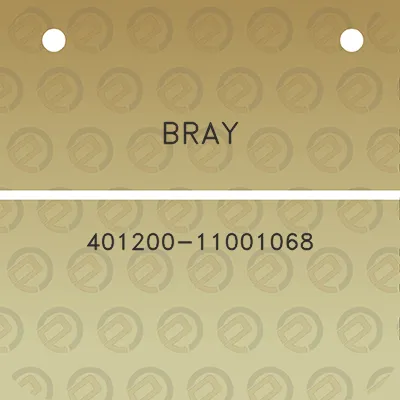 bray-401200-11001068