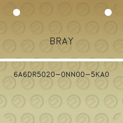 bray-6a6dr5020-0nn00-5ka0