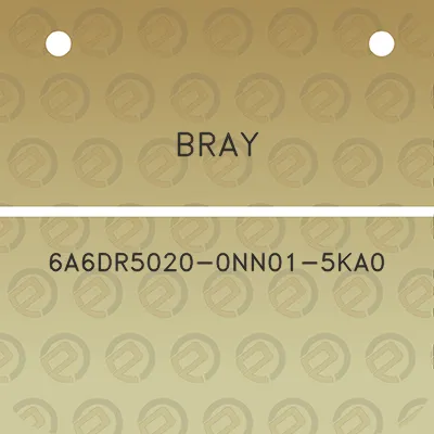 bray-6a6dr5020-0nn01-5ka0