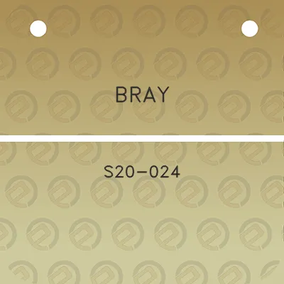 bray-s20-024