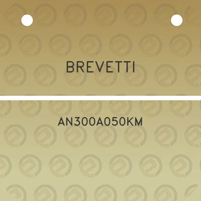 brevetti-an300a050km