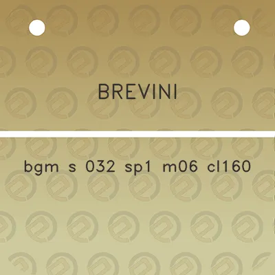 brevini-bgm-s-032-sp1-m06-cl160