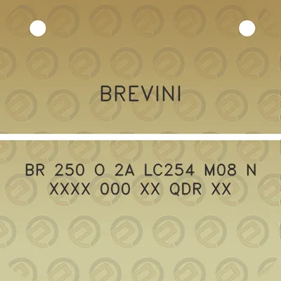 brevini-br-250-o-2a-lc254-m08-n-xxxx-000-xx-qdr-xx