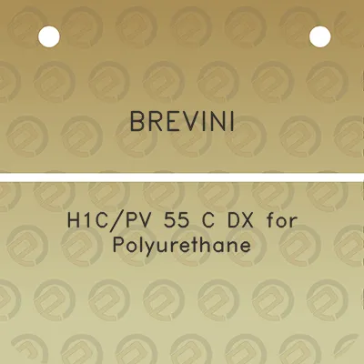 brevini-h1cpv-55-c-dx-for-polyurethane