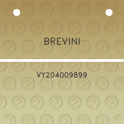 brevini-vy204009899