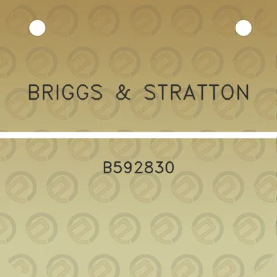 briggs-stratton-b592830