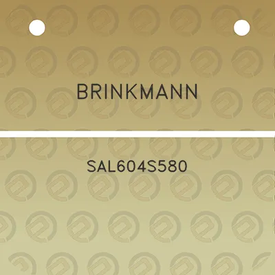 brinkmann-sal604s580