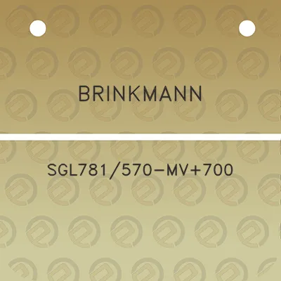 brinkmann-sgl781570-mv700