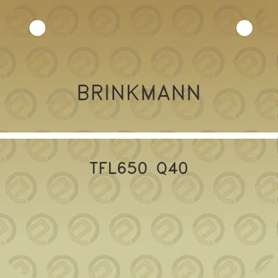 brinkmann-tfl650-q40