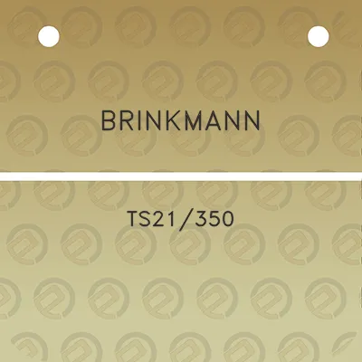 brinkmann-ts21350