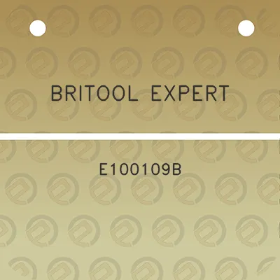 britool-expert-e100109b