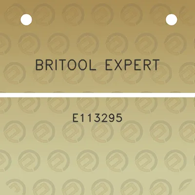 britool-expert-e113295