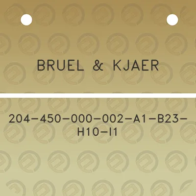 bruel-kjaer-204-450-000-002-a1-b23-h10-i1