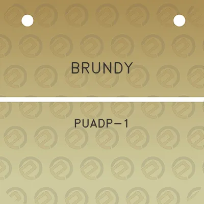 brundy-puadp-1