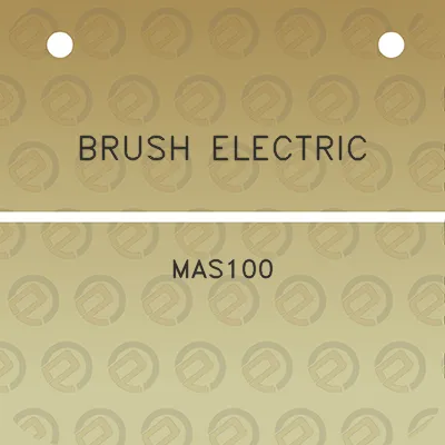 brush-electric-mas100