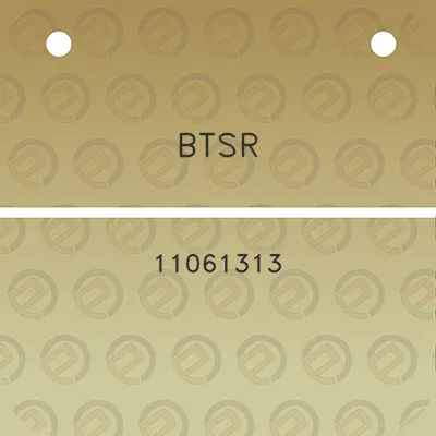 btsr-11061313