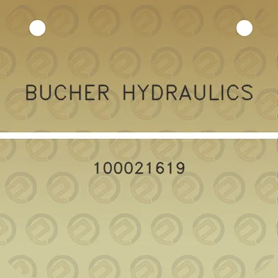 bucher-hydraulics-100021619