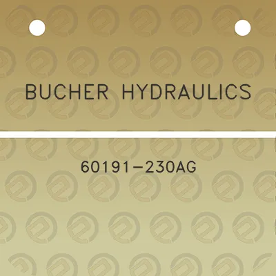 bucher-hydraulics-60191-230ag