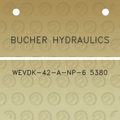 bucher-hydraulics-wevdk-42-a-np-6-5380