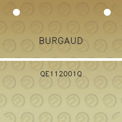 burgaud-qe112001q