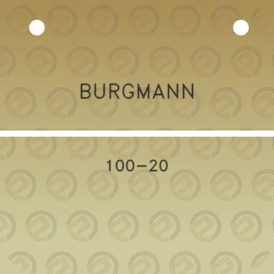 burgmann-100-20