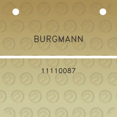 burgmann-11110087