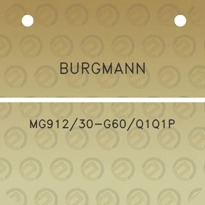 burgmann-mg91230-g60q1q1p