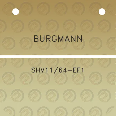 burgmann-shv1164-ef1