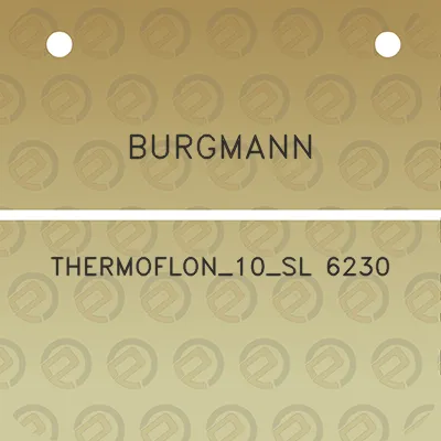 burgmann-thermoflon_10_sl-6230