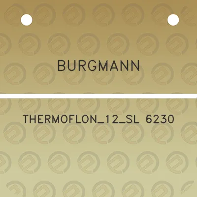 burgmann-thermoflon_12_sl-6230