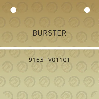 burster-9163-v01101