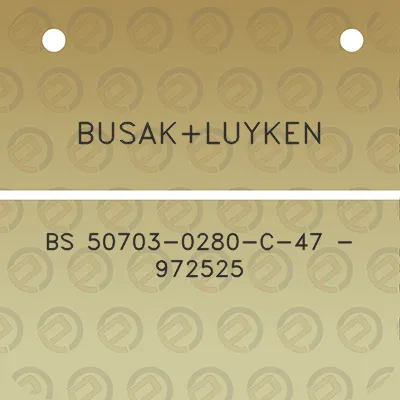 busakluyken-bs-50703-0280-c-47-972525