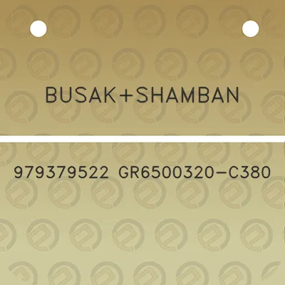 busakshamban-979379522-gr6500320-c380