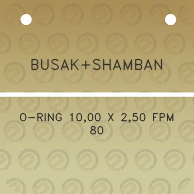 busakshamban-o-ring-1000-x-250-fpm-80