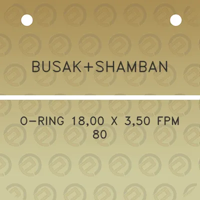 busakshamban-o-ring-1800-x-350-fpm-80