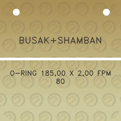 busakshamban-o-ring-18500-x-200-fpm-80