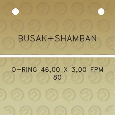 busakshamban-o-ring-4600-x-300-fpm-80