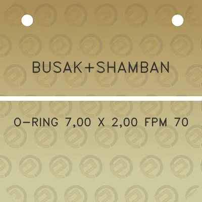 busakshamban-o-ring-700-x-200-fpm-70