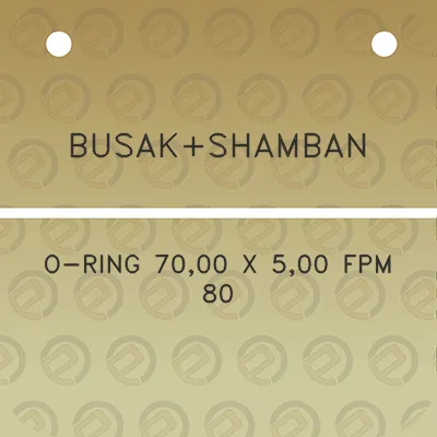 busakshamban-o-ring-7000-x-500-fpm-80