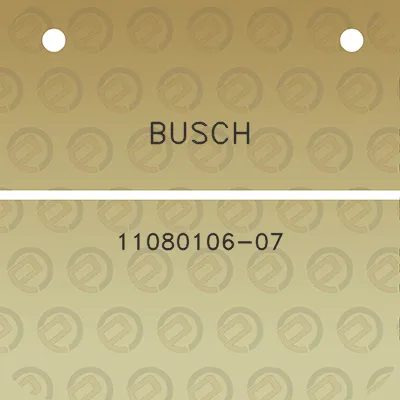 busch-11080106-07