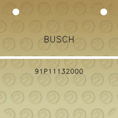 busch-91p11132000