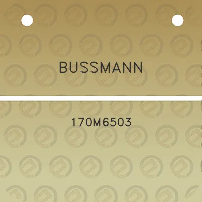 bussmann-170m6503