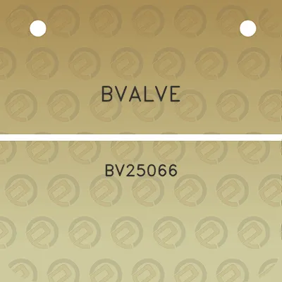 bvalve-bv25066