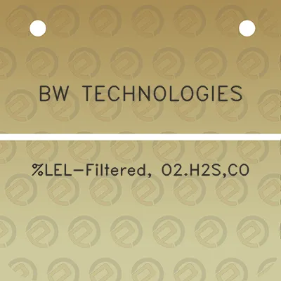 bw-technologies-lel-filtered-o2h2sco