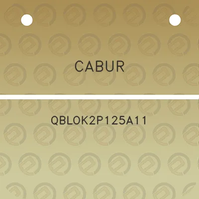 cabur-qblok2p125a11